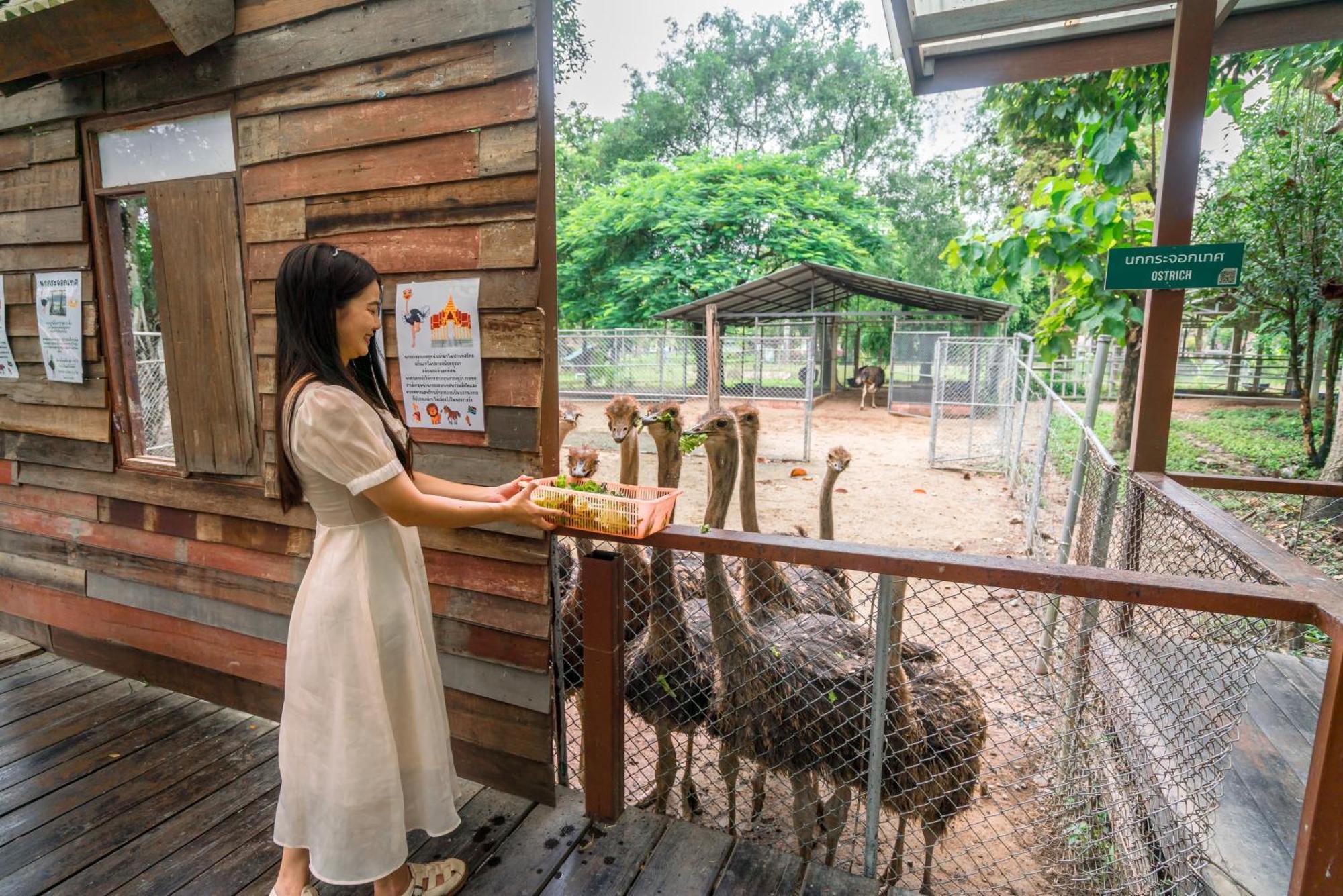 Horizon Village & Resort Doi Saket Zewnętrze zdjęcie
